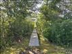 common pathway through the peaceful salt marshes
