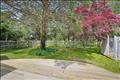 Spacious yard