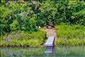 Fresh Pond