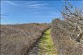 Bluff Path to Spring Point Beach