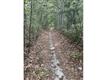Hiking & bike trails off of Tiffany Drive and Tiffany Lane through 292 acres of the Southern Woodlands.