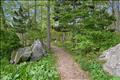 An enchanting, woodchip-lined path meanders through majestic glacial boulders, offering a direct invitation to explore the surrounding conservation land