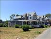Vintage Queen Anne