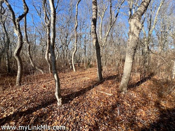1 Old Field Road, Aquinnah