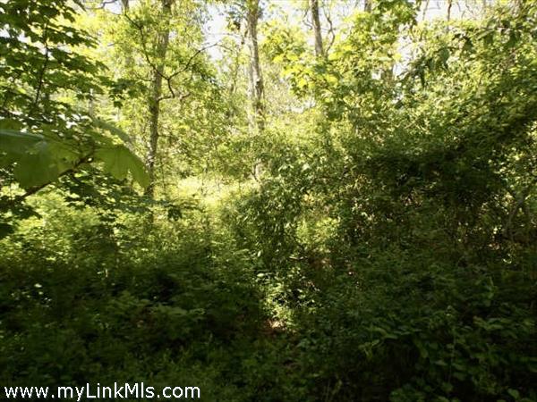 0 Old Country Lane, Vineyard Haven